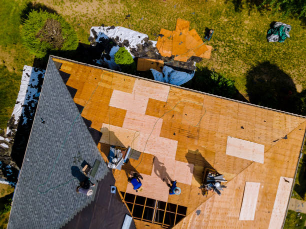 Best Roof Repair Services  in Tipton, IA