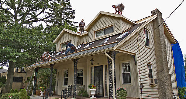 Best Roof Maintenance Services  in Tipton, IA