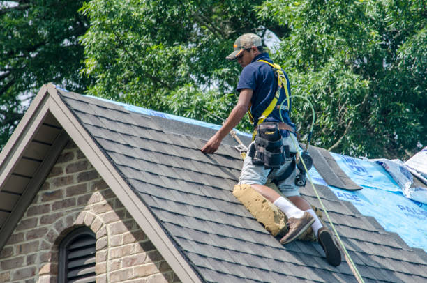 Best Roof Leak Repair  in Tipton, IA